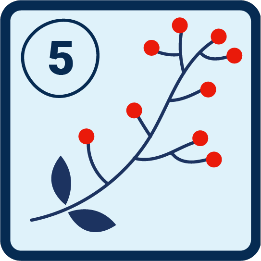 card assets/cards/28.png